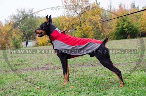 Manteau en nylon
pratique pour Dobermann