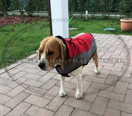 Manteau chien pour la neige chaud et confortable