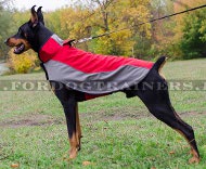 Waterproof Dog Coat for Small and Large Dogs | Warm Dog Wear