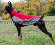 Warm coat for Doberman