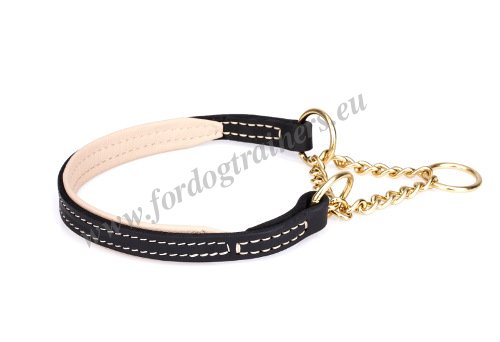 Martingale Dog Collars for Labradors Obedience