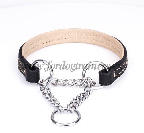 Leather Martingale Dog Collars Extra Strong