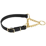 Half Choke Dog Collar | Leather Martingale Collar◌