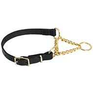 Collier martingale pour chien | Collier Cuir & Laiton⚜