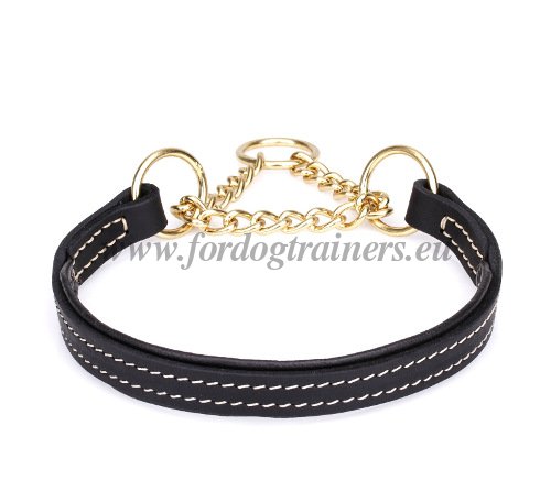 Leather Martingale Collar for Dogs