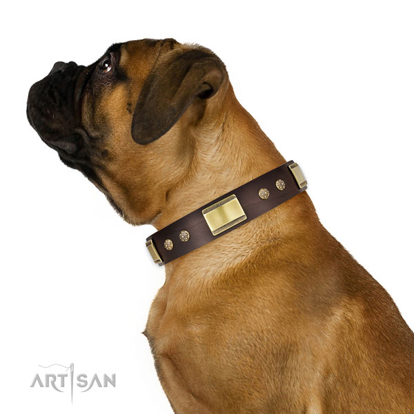 Wide Leather Collar for Mastiff