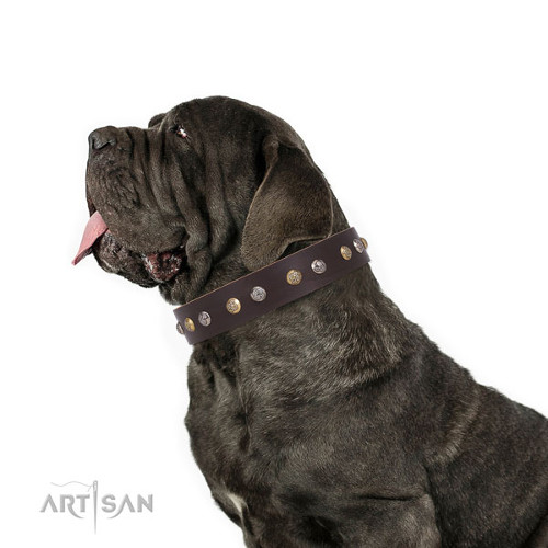 Leren halsband hond voor Mastino