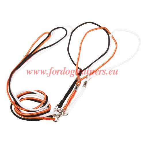 Rolled Nylon Dog Leash with Collar Loop