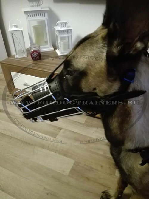 Korb aus Draht für Deutschen Schäferhund kaufen