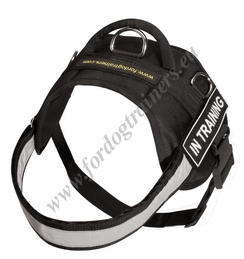 Nylon Dog
Harness for Tracking Training and Sar