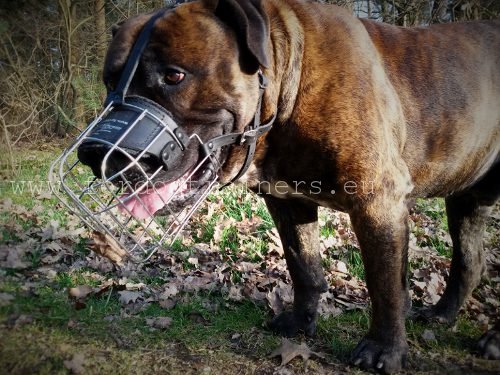 Super Goede Ventilatie Mand Muilkorf voor Grote Honden