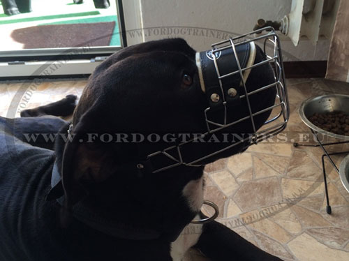 Rustproof Metal Dog Muzzle