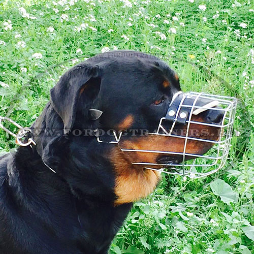 Rottweiler Wire Dog Muzzle