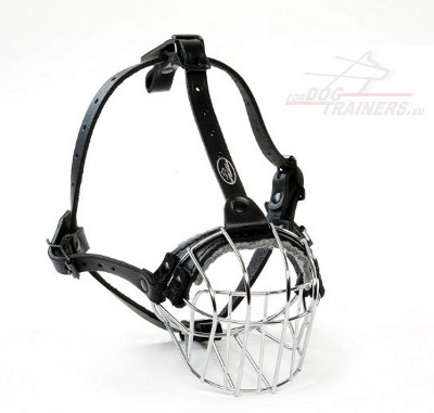 Solid Basket Muzzle for Amstaff and Other molossers