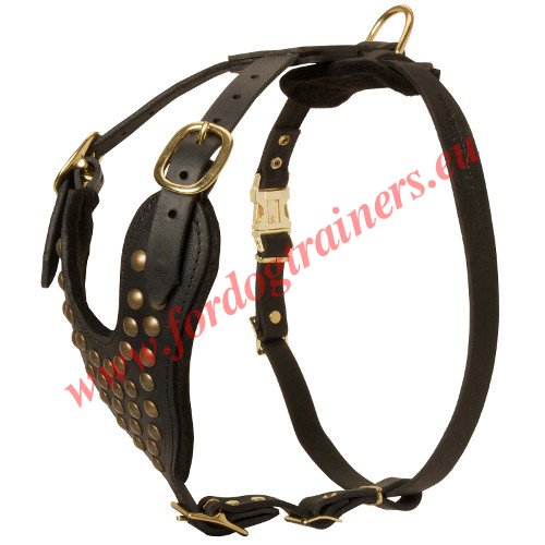Dog Harness for Walking