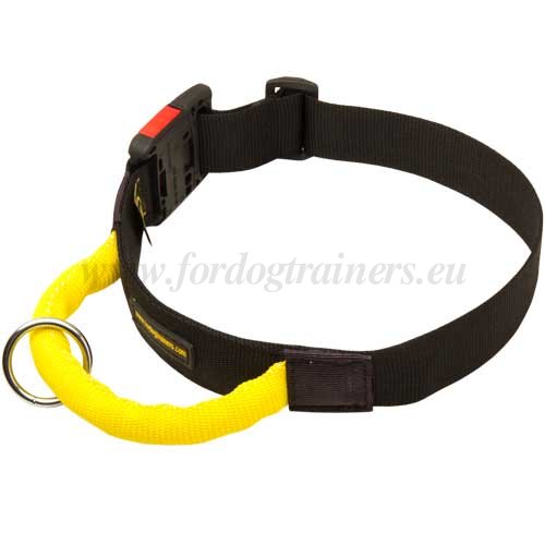 Strong Dog Training Nylon Collar