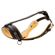 Royal Leather Dog Muzzle with Nappa-Padding [M88##1057 Museruola con cucitura decorativa]