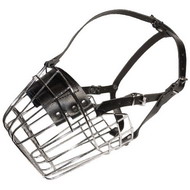 Basket Muzzle for Dogs with Large Snout