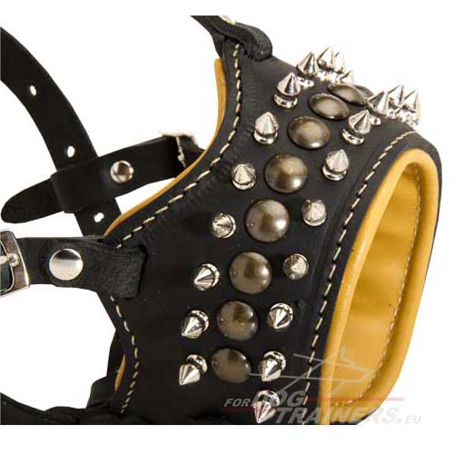 Dog muzzle beautiful and durable with decorations for
Pitbull