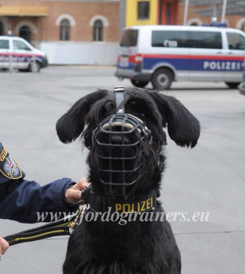 Muselière d'hiver pour chiens de police