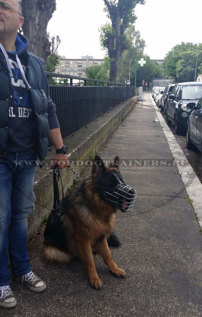 Muselire extraordinaire pour chien de police