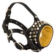 decorated Dog Muzzle