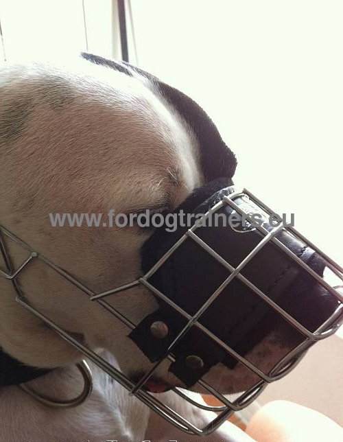 Excellent dog muzzle basket type for Pitbull
