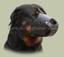 Muselière en cuir durable pour Rottweiler