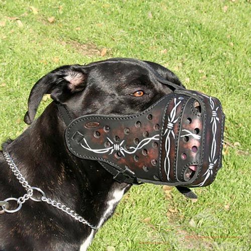 Muselire en cuir pour Cane Corso