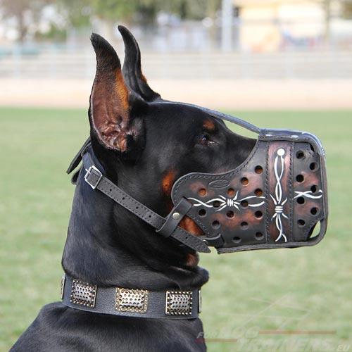 Muselire en cuir de grande qualit pour Dobermann