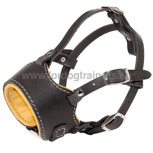 Multifunctional dog muzzle made of smooth black leather