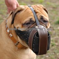 Easily adjusted leather dog muzzle for Bullmastiff
