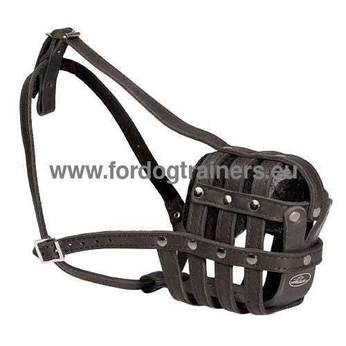 Multifunctional dog muzzle for Akita and Husky