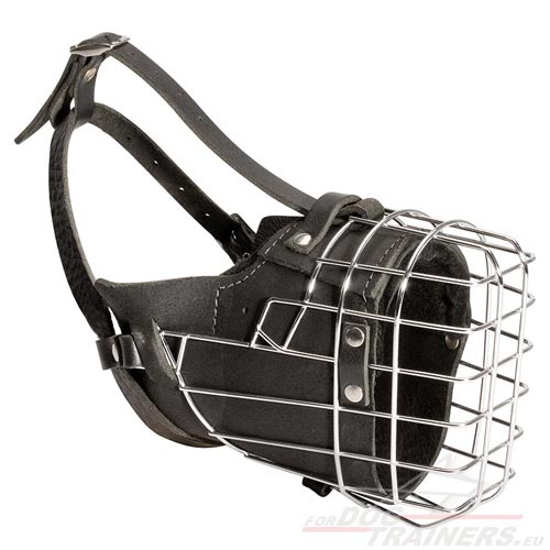 Muselière grillagée super solide pour chien d'utilité