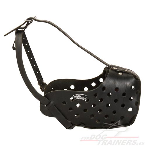 Leather Muzzle for Dog Training and Work