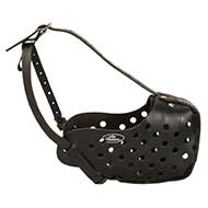 Leather Pitbull Muzzle