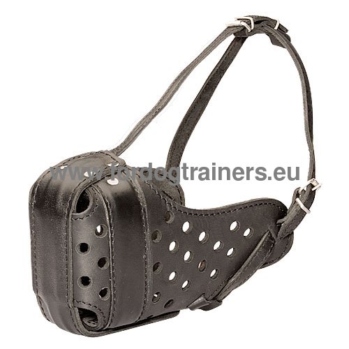 Attack muzzle for Bullmastiff genuine leather