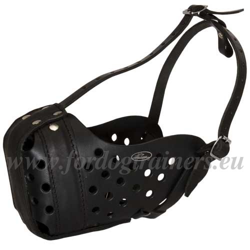 Muselière cuir pour dressage du chien professionnel