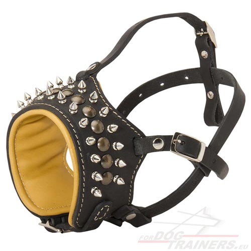 Comfortable Decorated Dog Muzzle