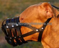 Black Leather Muzzle for Pitbull