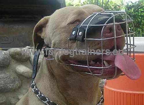 Excellet ventilation basket muzzle for Pitbull