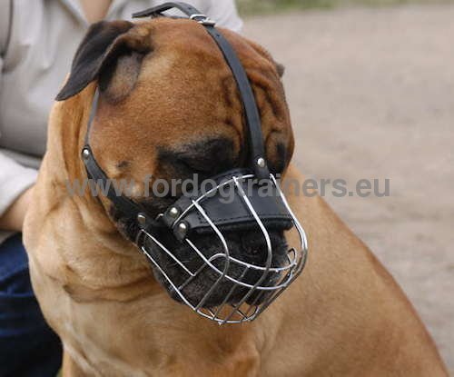 Well-ventilated basket muzzle for bullmastiff