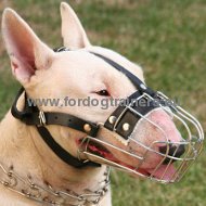 Muselière grillagée pour Bull Terrier | Muselière
confort❖
