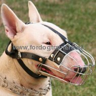 Muselire grillage pour Bull Terrier | Muselire
confort❖