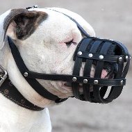 American Bulldog Everyday Light Weight Ventilation Dog muzzle [M41##1057 Museruola universale in pelle naturale per Bulldog Americano]