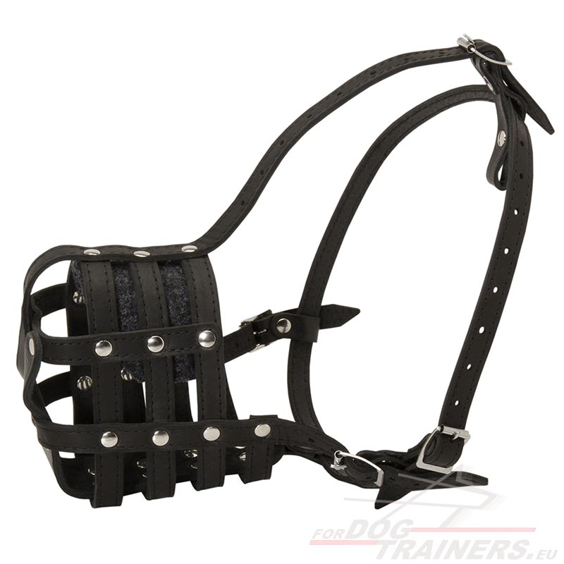 dog leash with muzzle strap