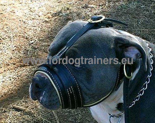 Leder Maulkorb Schlaufe-Design fr Pitbull verstellbar