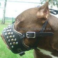 Pitbull Royal Studded Soft Dog Muzzle ◧