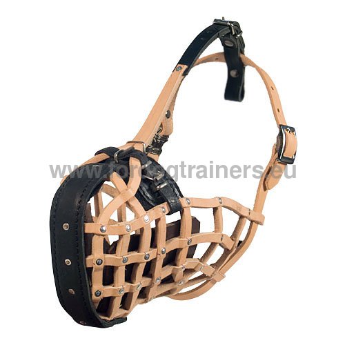 Leather dog muzzle with optimum ventilation for German
Shepherd