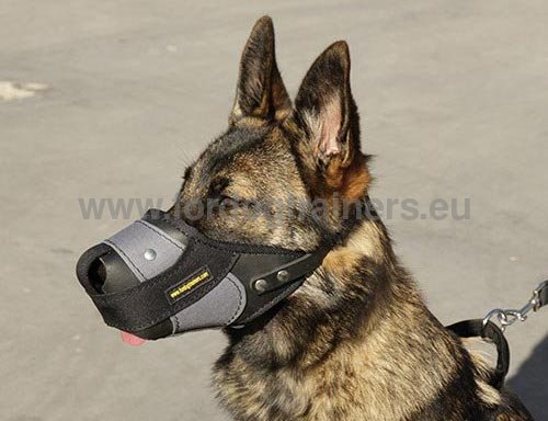 Museliere De Frappe Cabine En Cuir Pour Chien De Type Malinois Male Berger Allemand Femelle 607 Black Abc Sport Klin Cdiscount